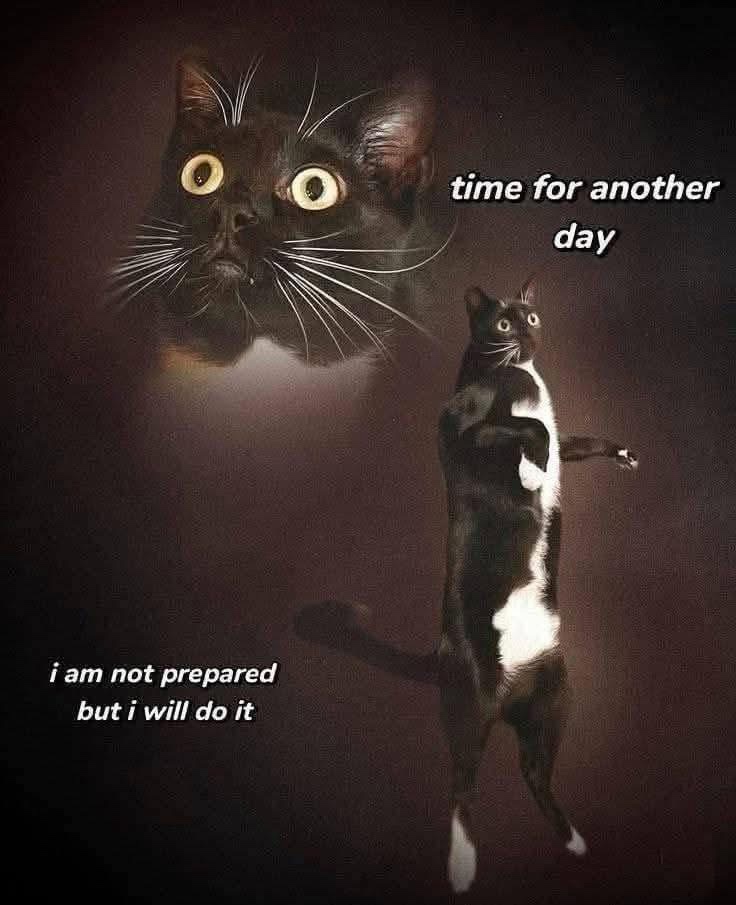 Time for another day