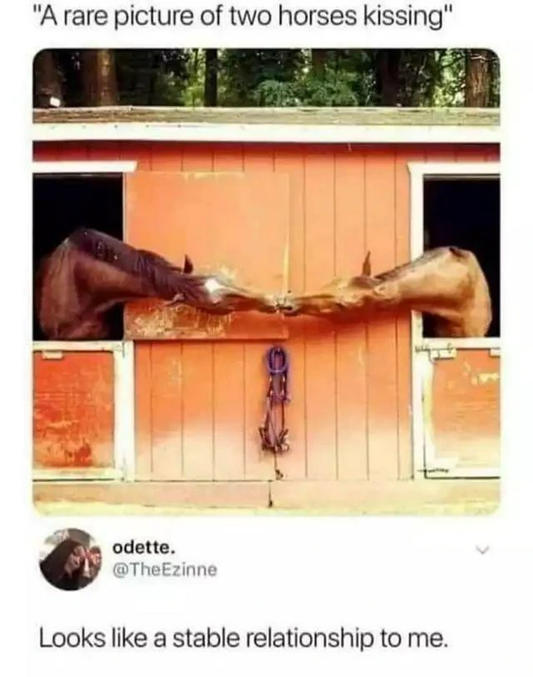 20 Memes That Seem Harmless Until Your Brain Hits a Wall 23 Two horses kissing