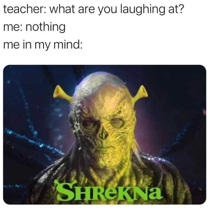 20 Memes That Were Built Using Spare Thoughts and Expired Logic 16 WHat are you laughing at