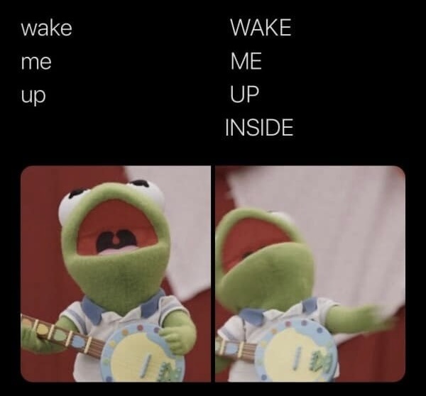 40 Music Memes That'll Replay in Your Mind On Repeat 42 Wake me up