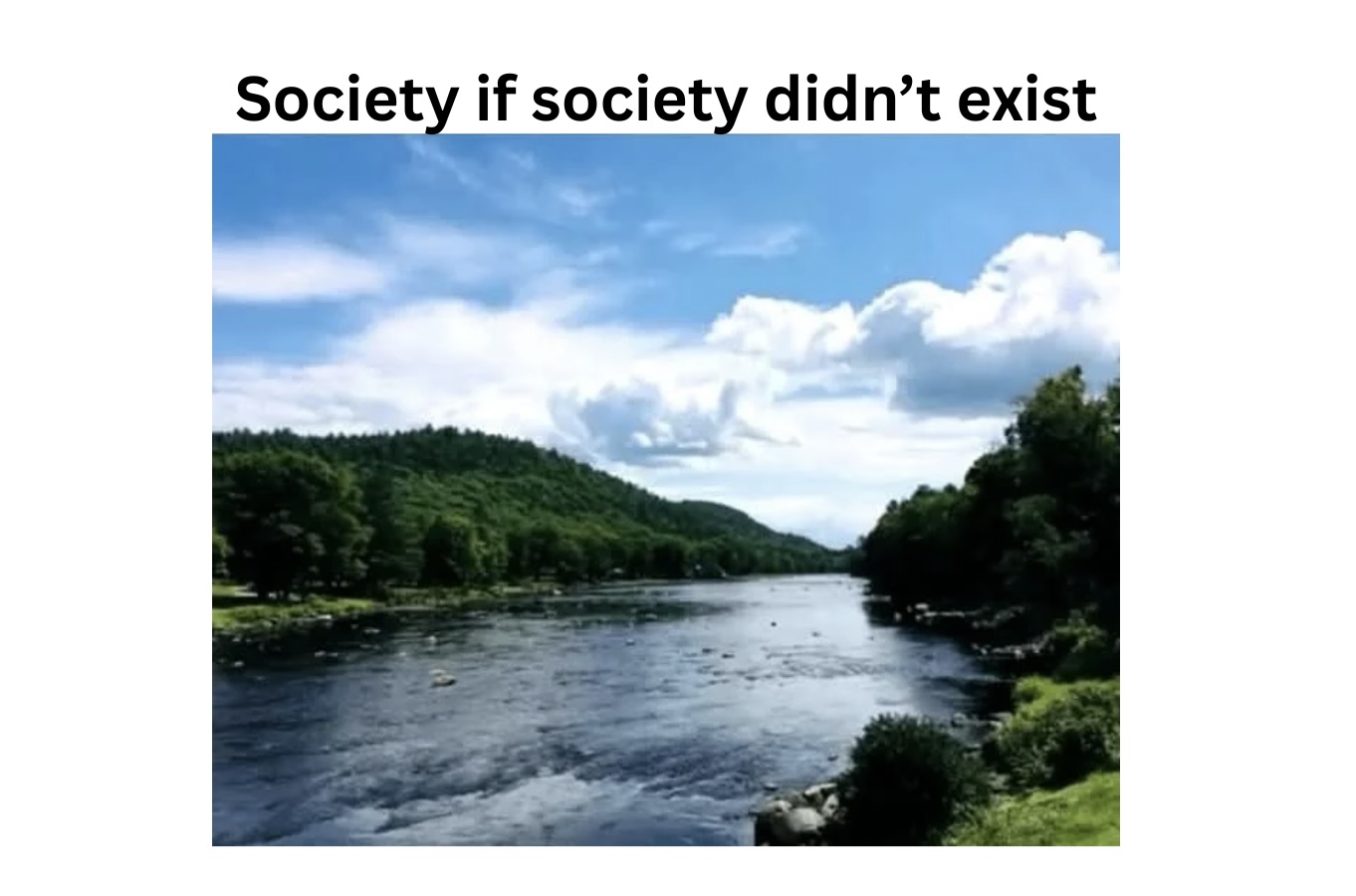 Weirdly Random Memes That Don’t Care About Logic, Only Laughter - FG.jpeg