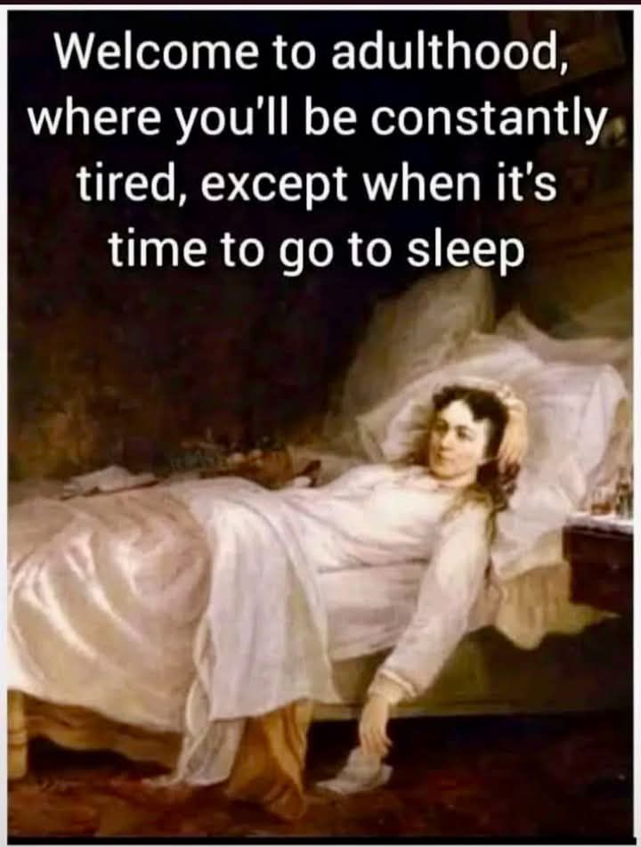 20 Sarcastic Art Memes So Savage They’d Get Banned from the Louvre 14 Welcome to adulthood