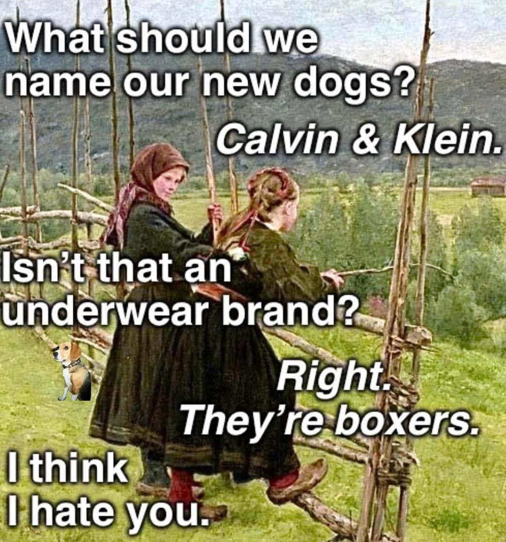 What should we name our dogs