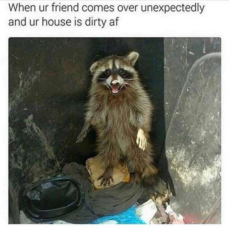 24 Memes That Make Less Sense the Longer You Stare 20 When ur friend comes over