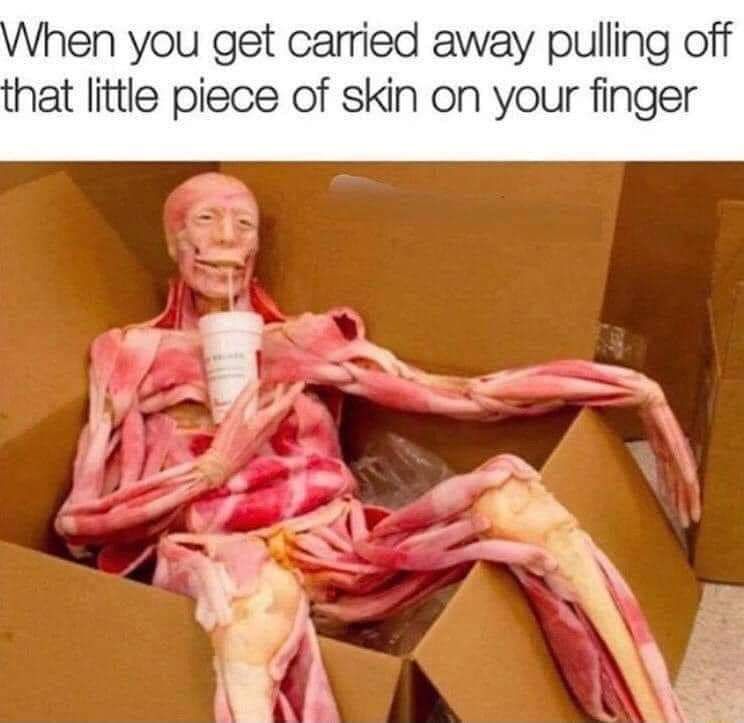 25 Weird Memes That Go Straight to the Unhinged Part of Your Brain 27 When you get carried away