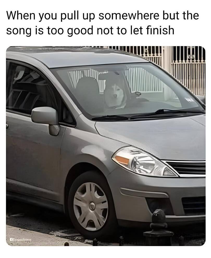20 Dog Memes So Funny You’ll Snort Like a Pug 17 When you pullup somewhere