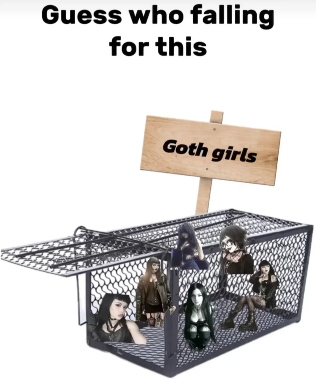 29 Slightly Dirty Memes That’ll Make You Rethink Your Innocence 29 Whos falling for this