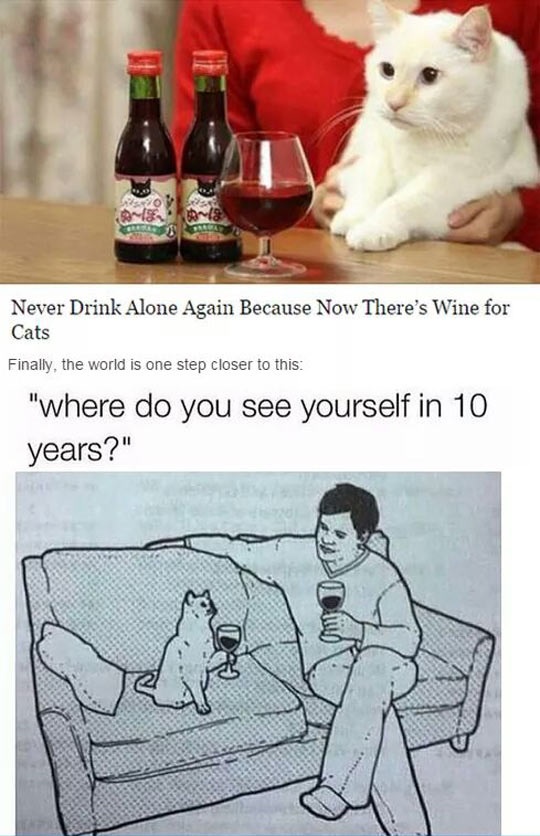 20 Animal Memes That Heard You Were Having a Ruff Day 24 Wine for cats