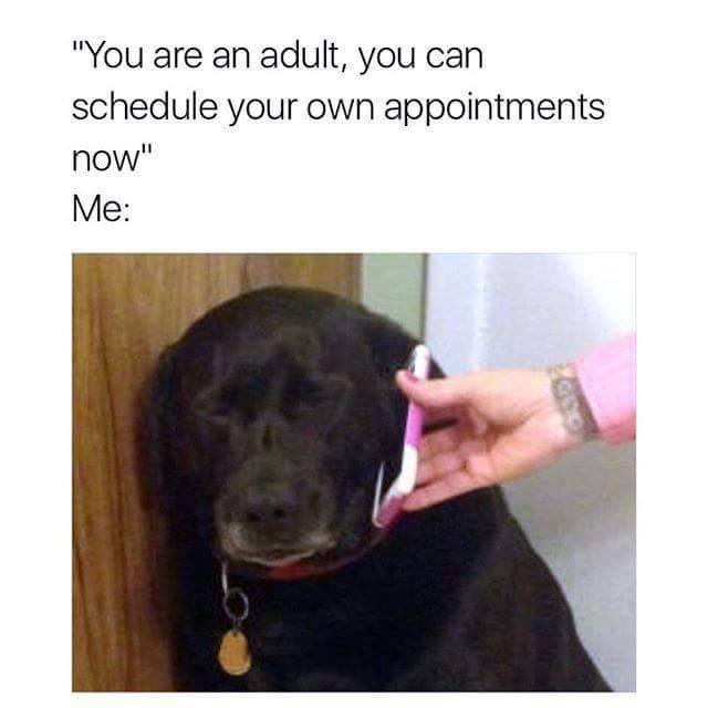 20 Memes That Got Lost on the Way to Relevance and You'll Love Them for It 20 You are an adult