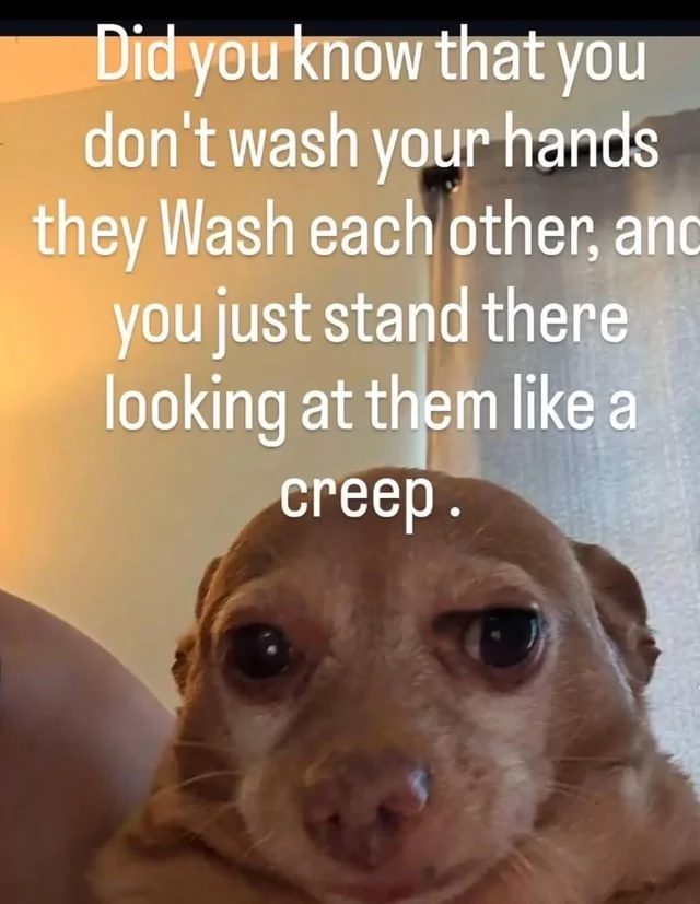40 Fascinating "Did You Know Memes" That Will Shake You Up 42 You dont wash your hands