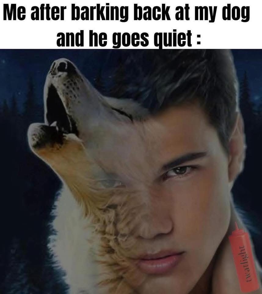 20 Memes That Are Just Vibes, and the Vibe Is Pure Comedy 1 barking back at my dog
