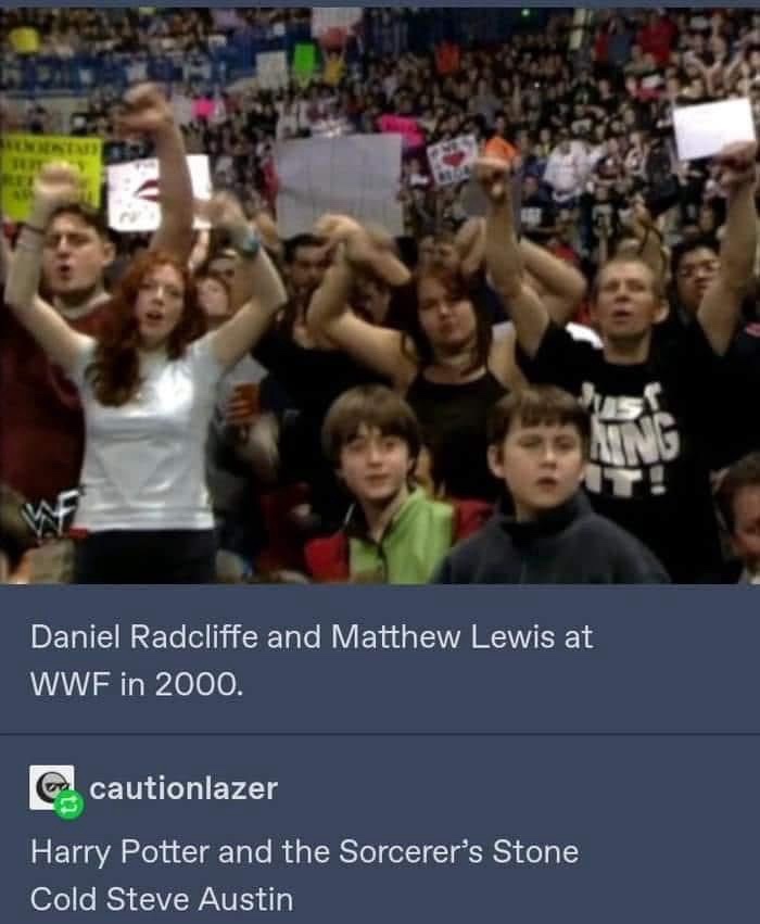 20 Memes That Are Just Vibes, and the Vibe Is Pure Comedy 3 harry potter at wwe