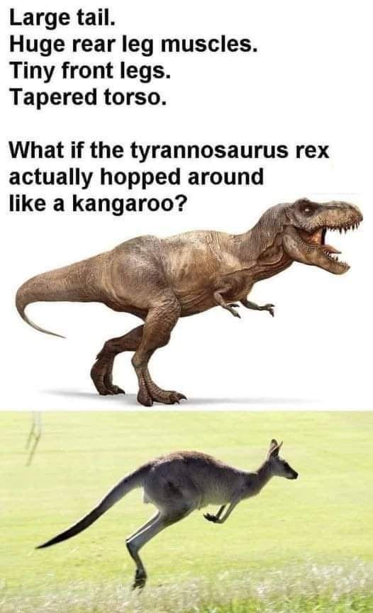 20 Memes That Were Built Using Spare Thoughts and Expired Logic 11 large tail