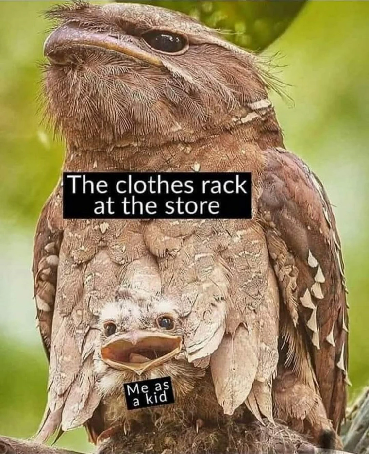 20 Funny and Unhinged Memes That Go Off the Rails 8 lothes rack at store