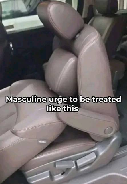20 Memes That Are Just a Little Too Into Double Meanings 6 masculine urge to be treated like this