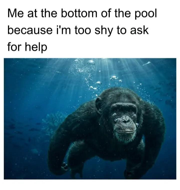 35 Relatable Funny Memes About Life That Capture the Hilarity of Existence 36 me at bottom of pool