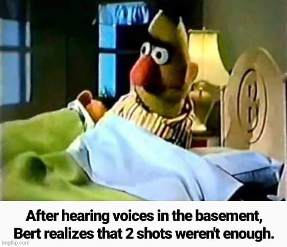 30 Memes That Feel Like a Rollercoaster Without a Seatbelt 28 After hearing voices