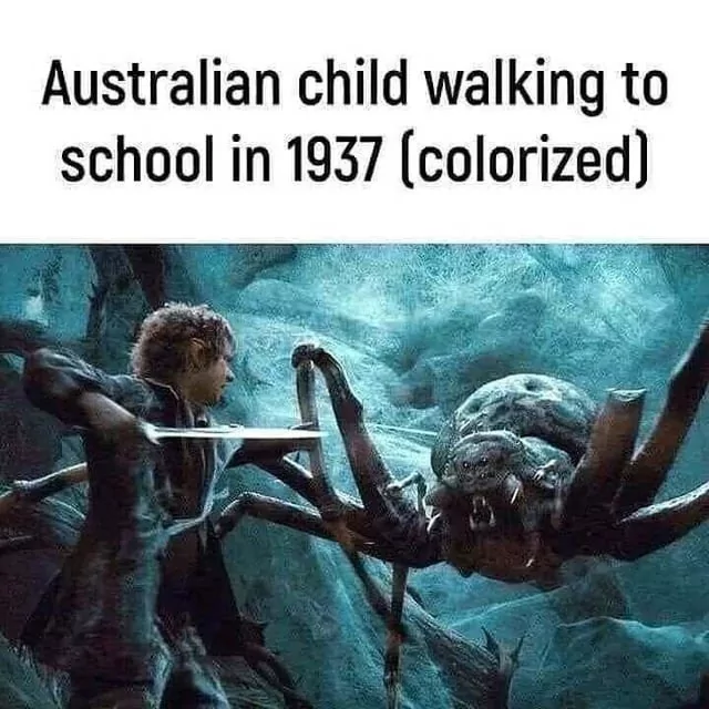 30 Bizarre "Meanwhile In Australia Memes" 28 Australian child walking
