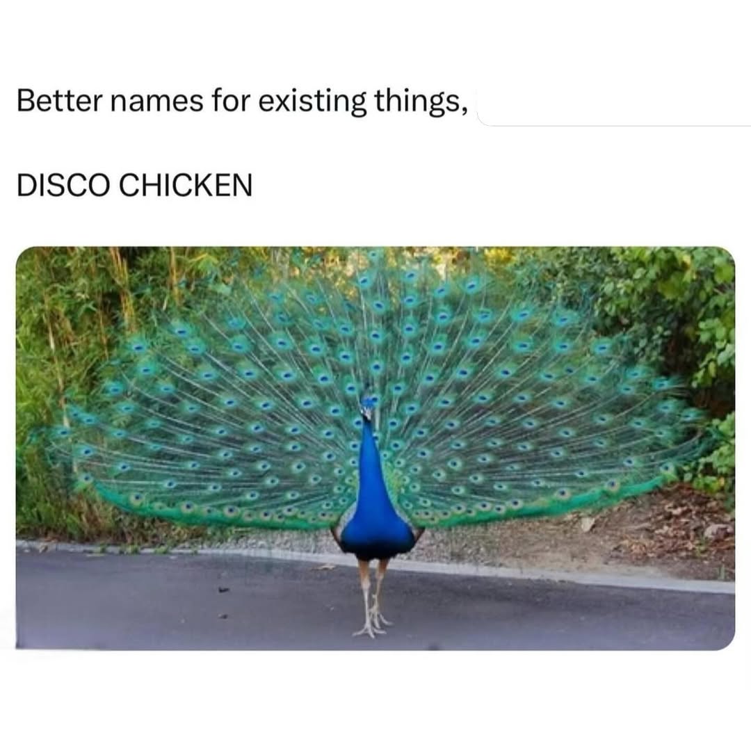 25 Dramatic Animal Memes Giving Main Character Energy 23 Better names for existing things