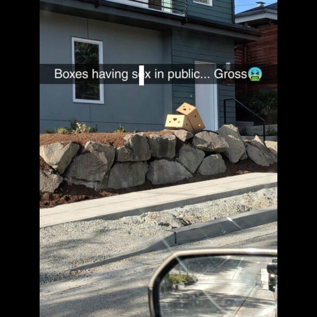 Boxes in public - Naughty Memes