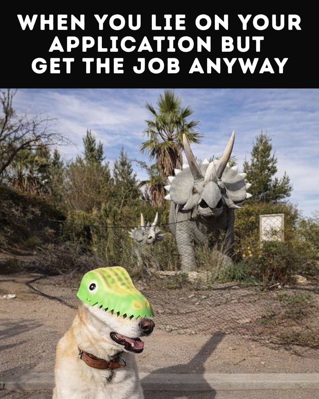 35 "When You Lie On Your Resume But Still Get The Job" Memes 35 Dinosaur meme