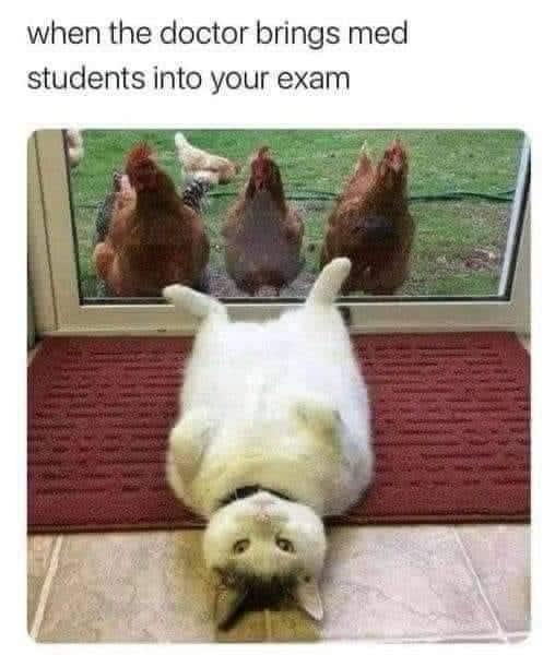 Doctor brings med students