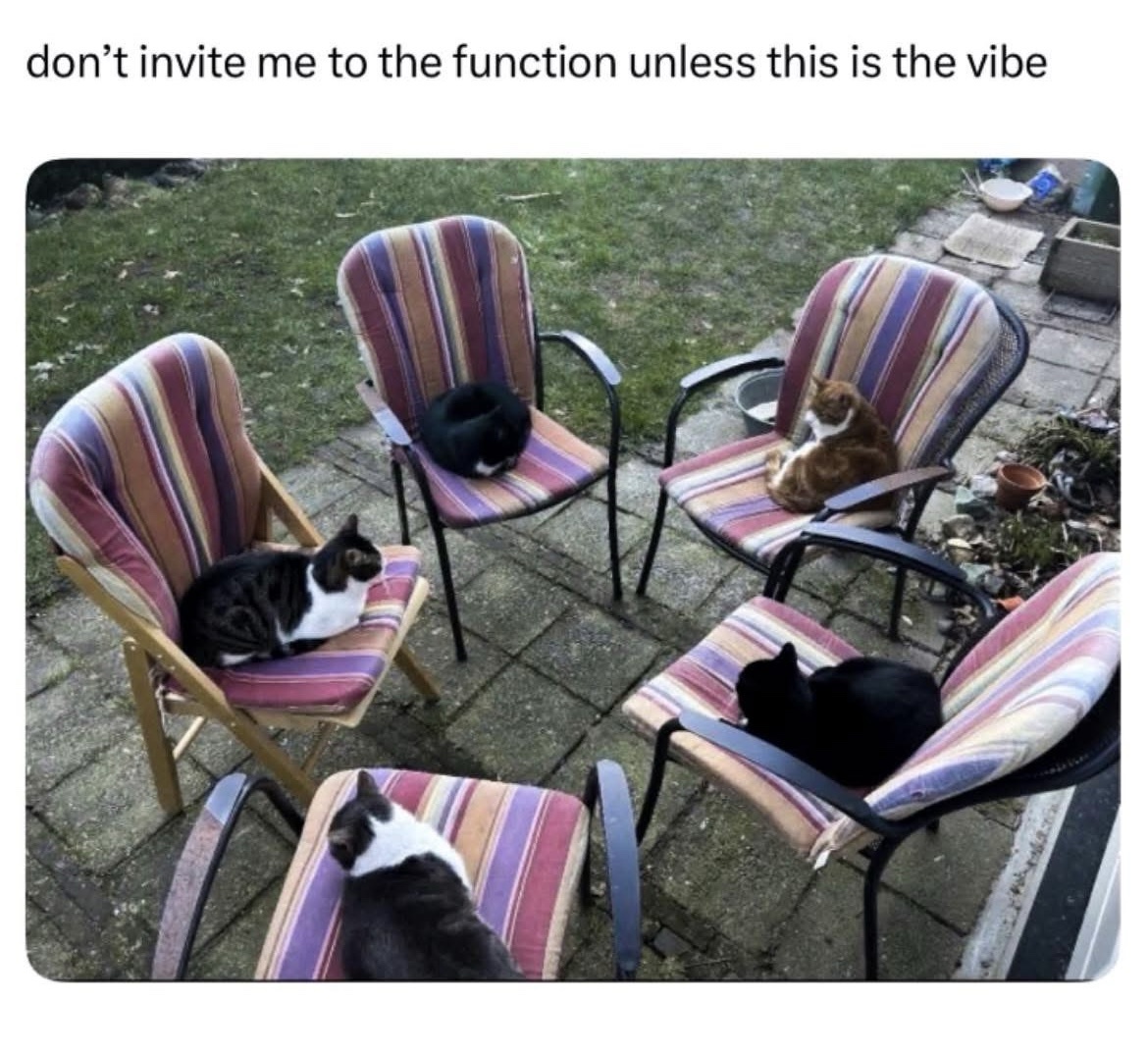 35 Funny Caturday Memes You’ll Regret Not Clicking On 33 Dont invite me