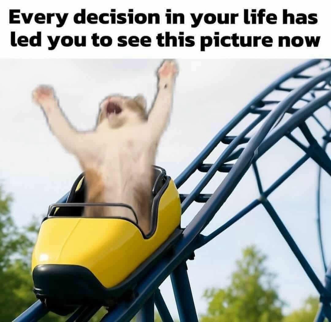 20 Memes That Look Like They Were Written Mid-Fall Down the Stairs 5 Every decision in your life