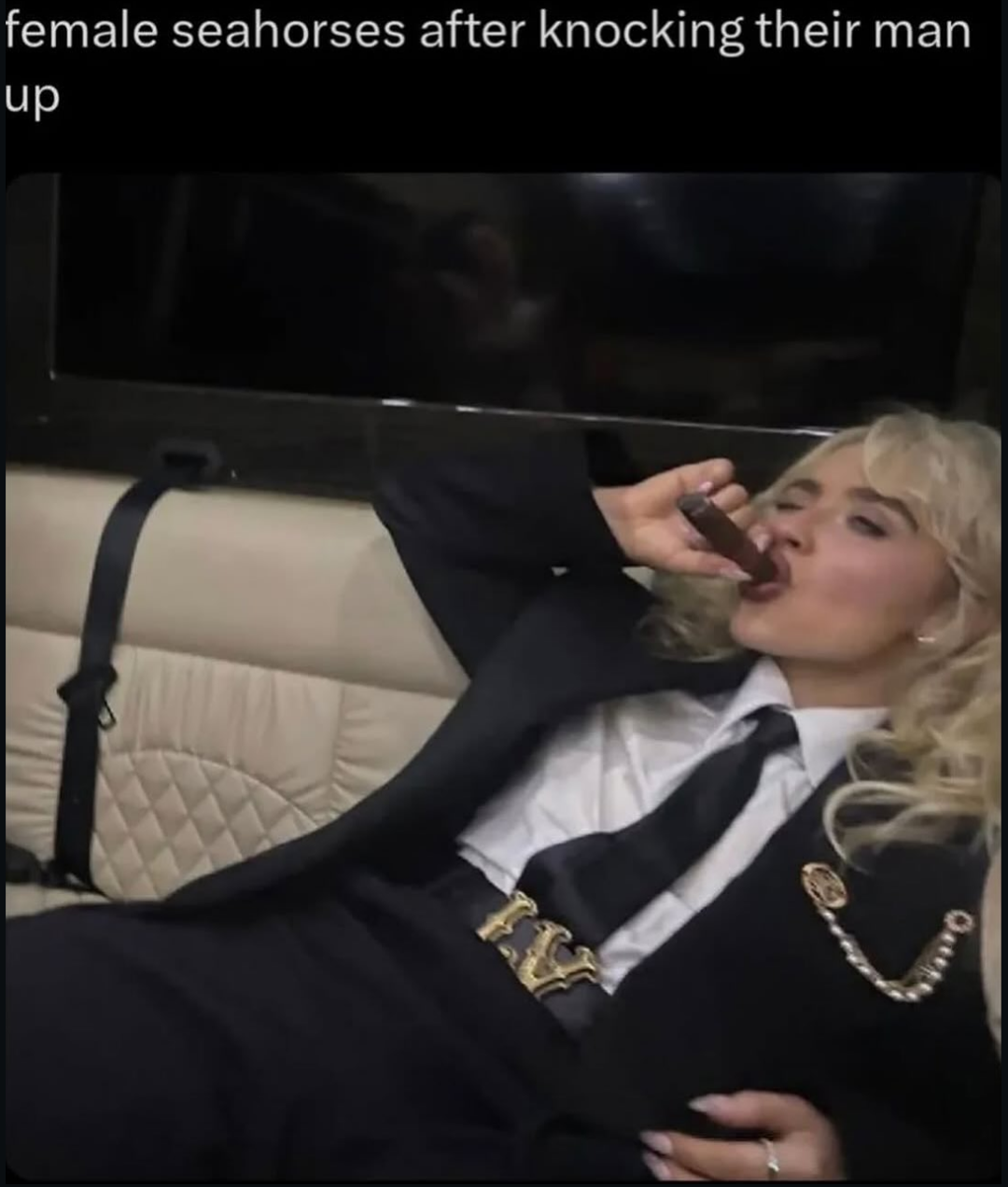 25 Random Memes That Are Just Sweaty Thoughts in Picture Form 22 Female seahorses