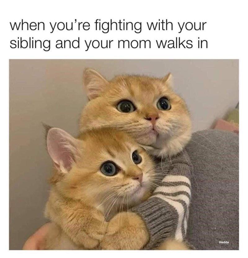 Fighting with sibling