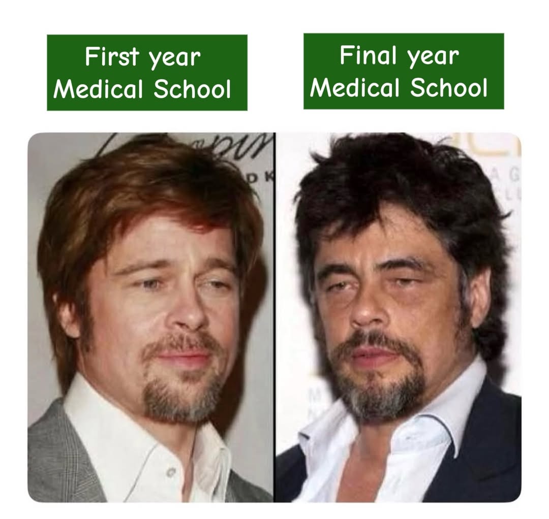 25 Funny Medical Memes Prescribed by Dr. Sarcasm, M.D. 23 First year medical school vs last year medical school