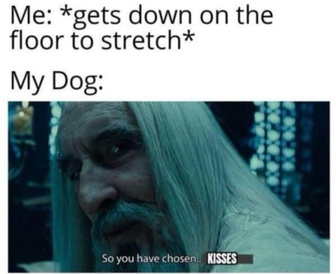 20 Memes That Could Win a Fight Against Logic 5 Gets down on floor