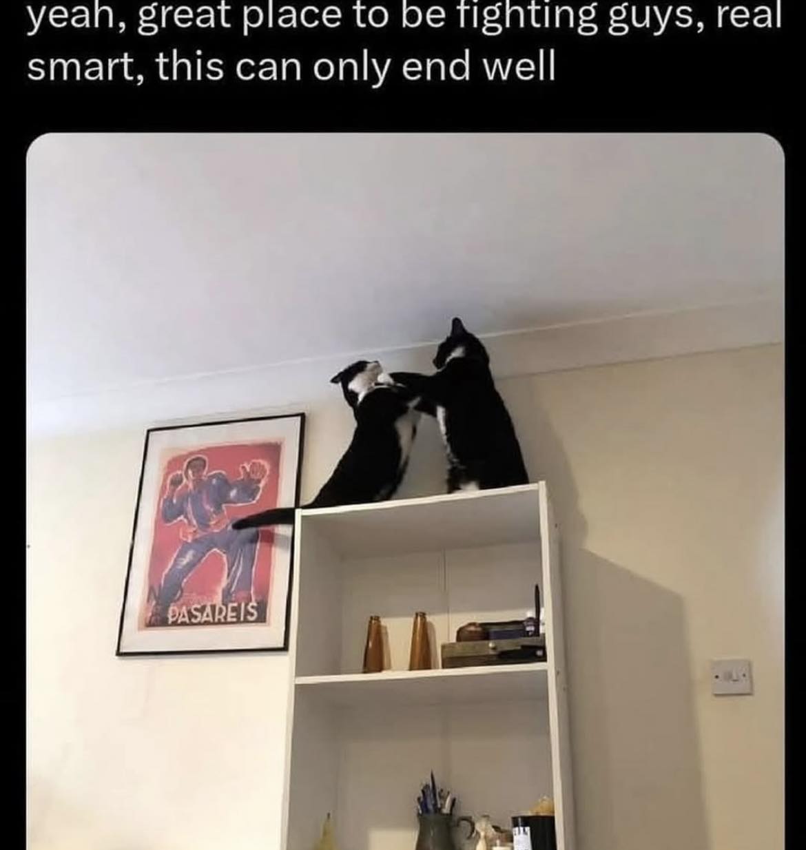 Great place to fight