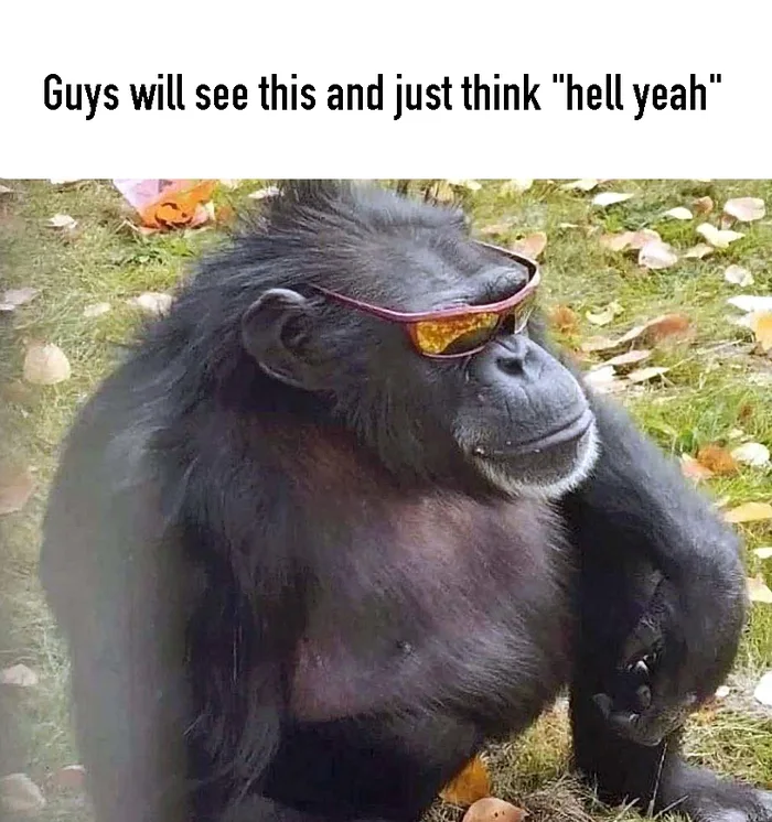 30 Chimpanzee Memes to Celebrate World Chimpanzee Day 30 Guys will see this