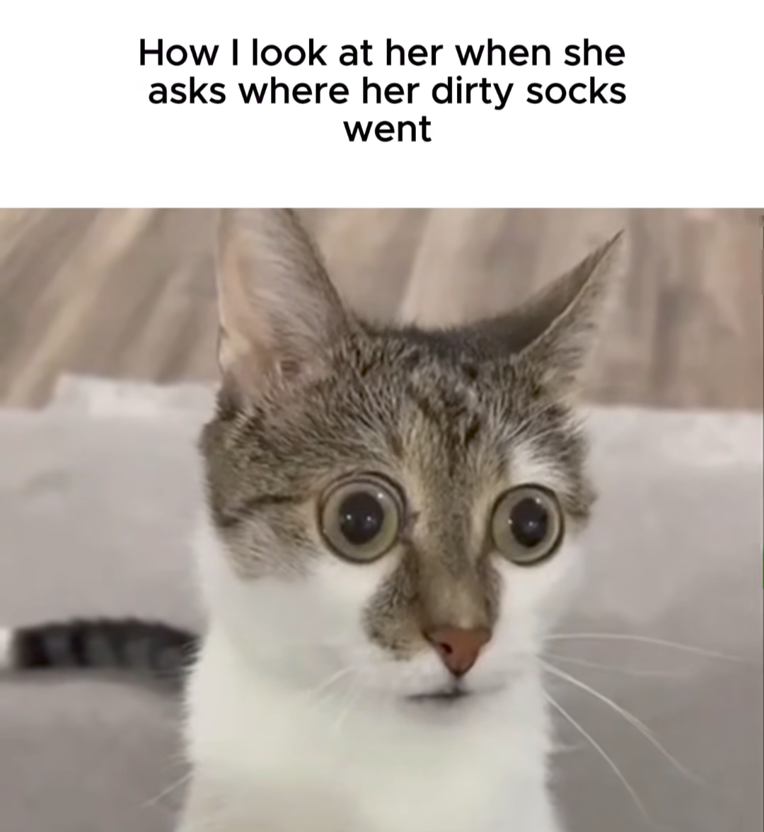 25 Random Memes That Are Just Sweaty Thoughts in Picture Form 23 How I look