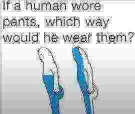 Human wore pants