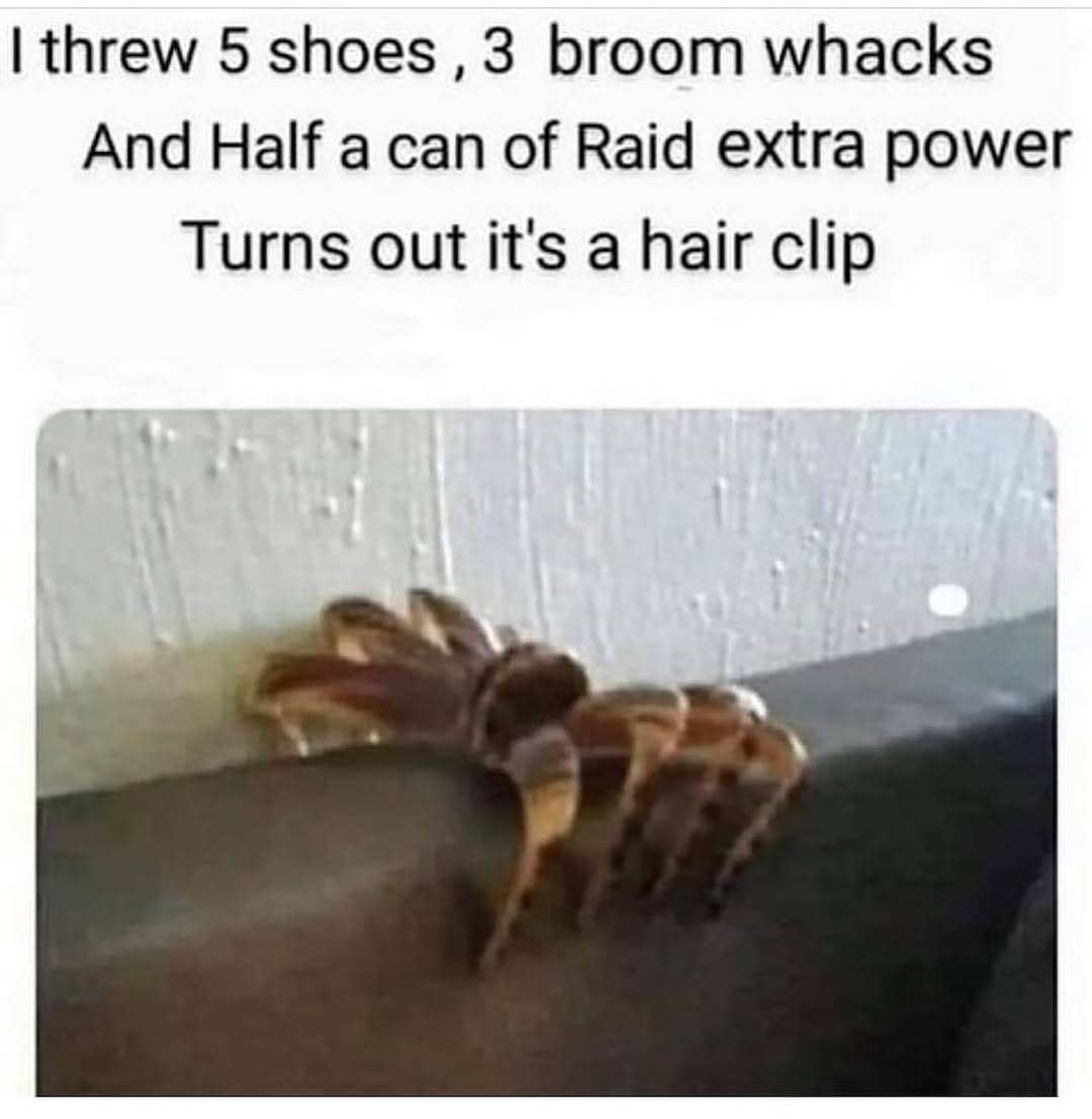 25 Dramatic Animal Memes Giving Main Character Energy 25 I threw 5 shoes