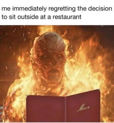 20 Memes That Look Like They Were Written Mid-Fall Down the Stairs 11 Immediately regretting the decision