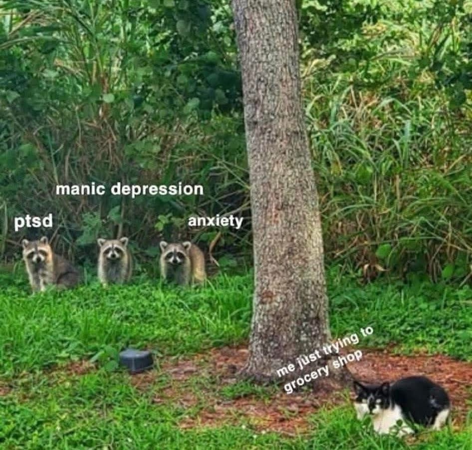 21 Memes That Are Both the Angel and the Devil on Your Shoulder 12 Just trying to grocery shop