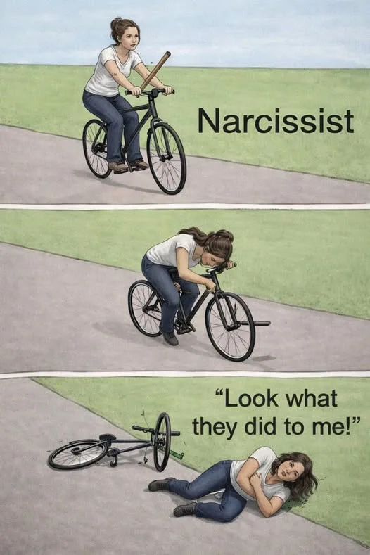 25 Narcissist Memes: A Hilarious Peek into the World of Self-Adoration 24 Look what they did to me