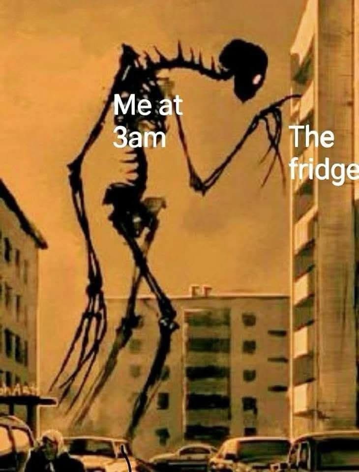 20 Memes That Look Like They Were Written Mid-Fall Down the Stairs 12 Me at 3am at the fridge