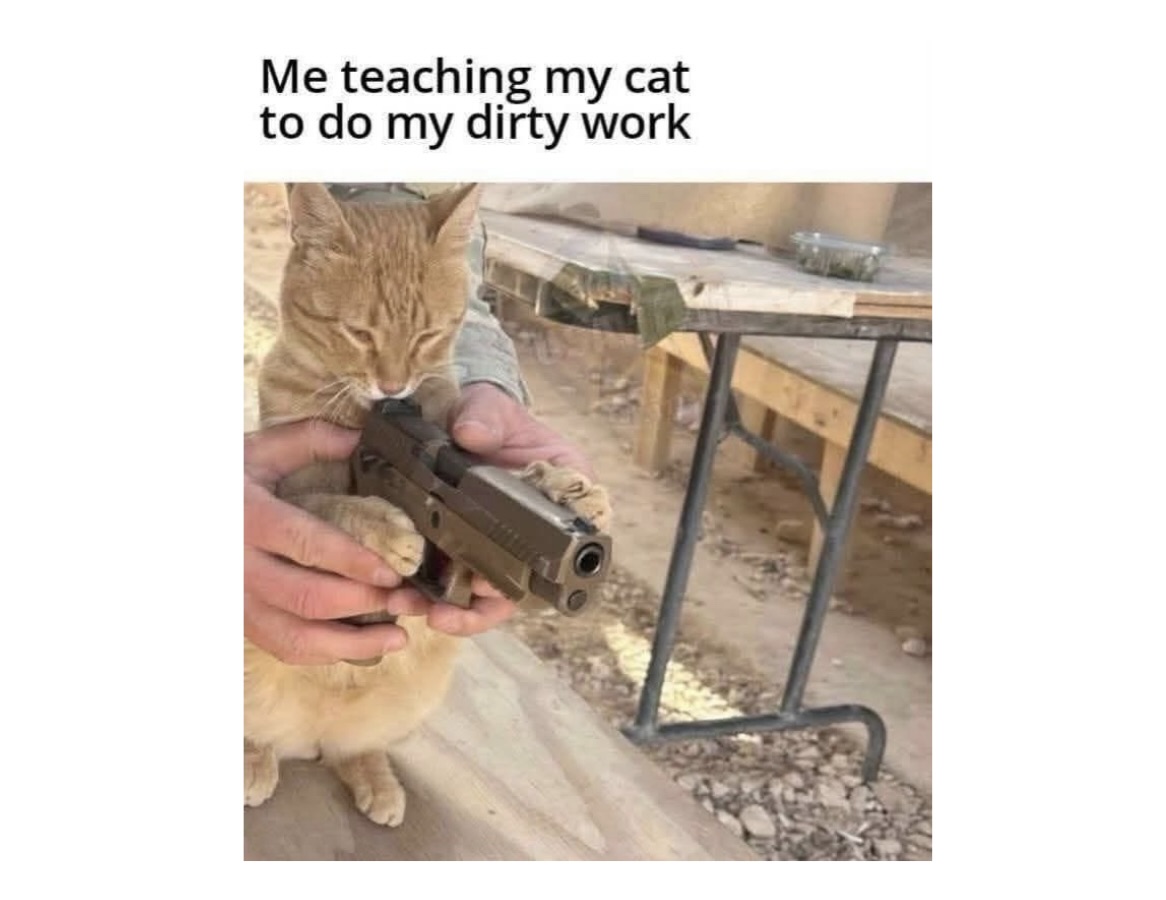 Me taching my cat - Random Memes That’ll Leave You Laughing, Confused, and Mildly Concerned - FG