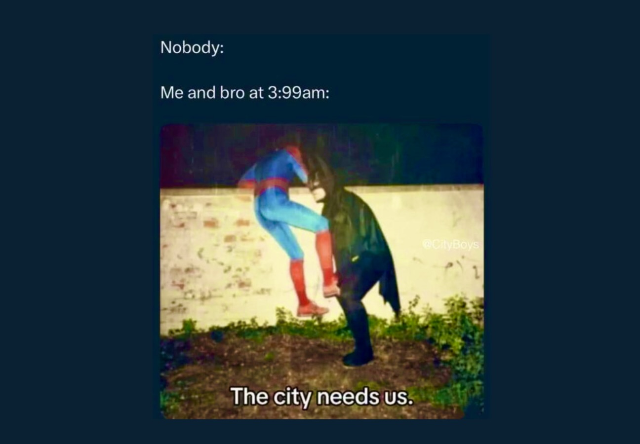 Memes That Passed the Vibe Check, but Not the Logic Test - FG.jpeg