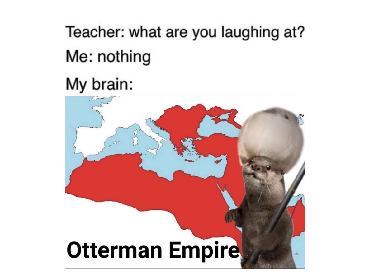 Memes That Ran on Pure Vibes and Absolutely No Context - FG