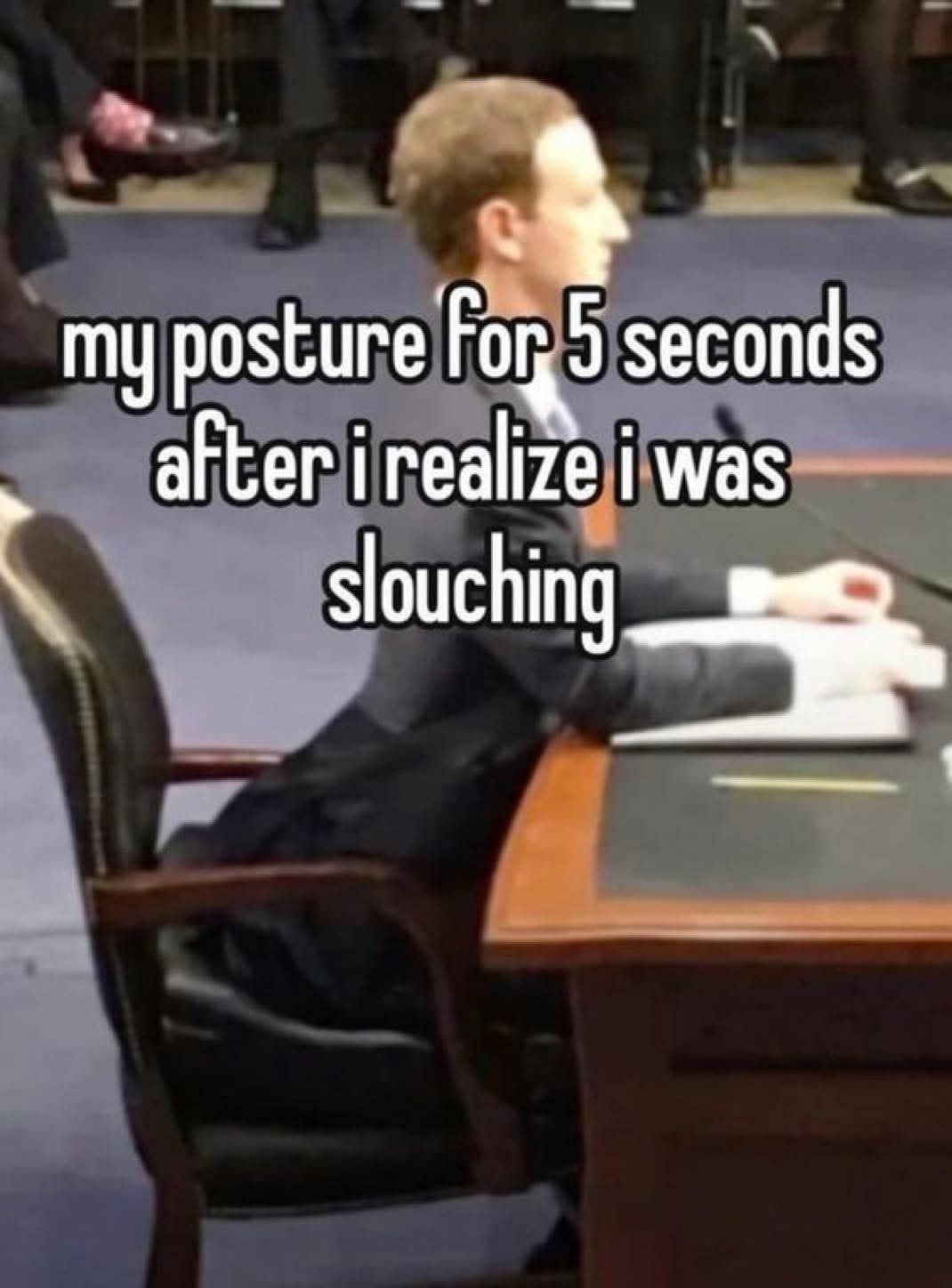 20 Memes That Look Like They Were Written Mid-Fall Down the Stairs 14 My posture for 5 seonds
