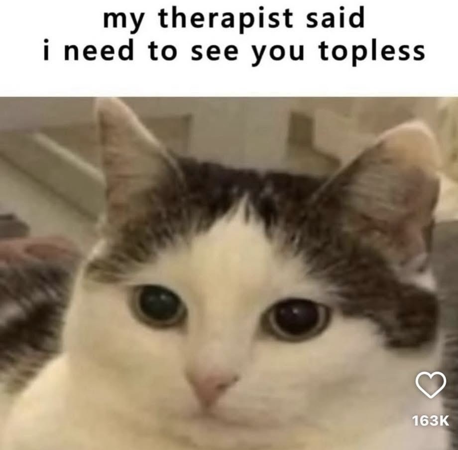 21 Memes That Are Both the Angel and the Devil on Your Shoulder 15 My therapist said