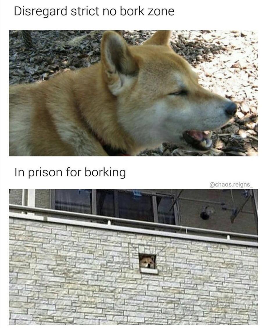 No bork zone