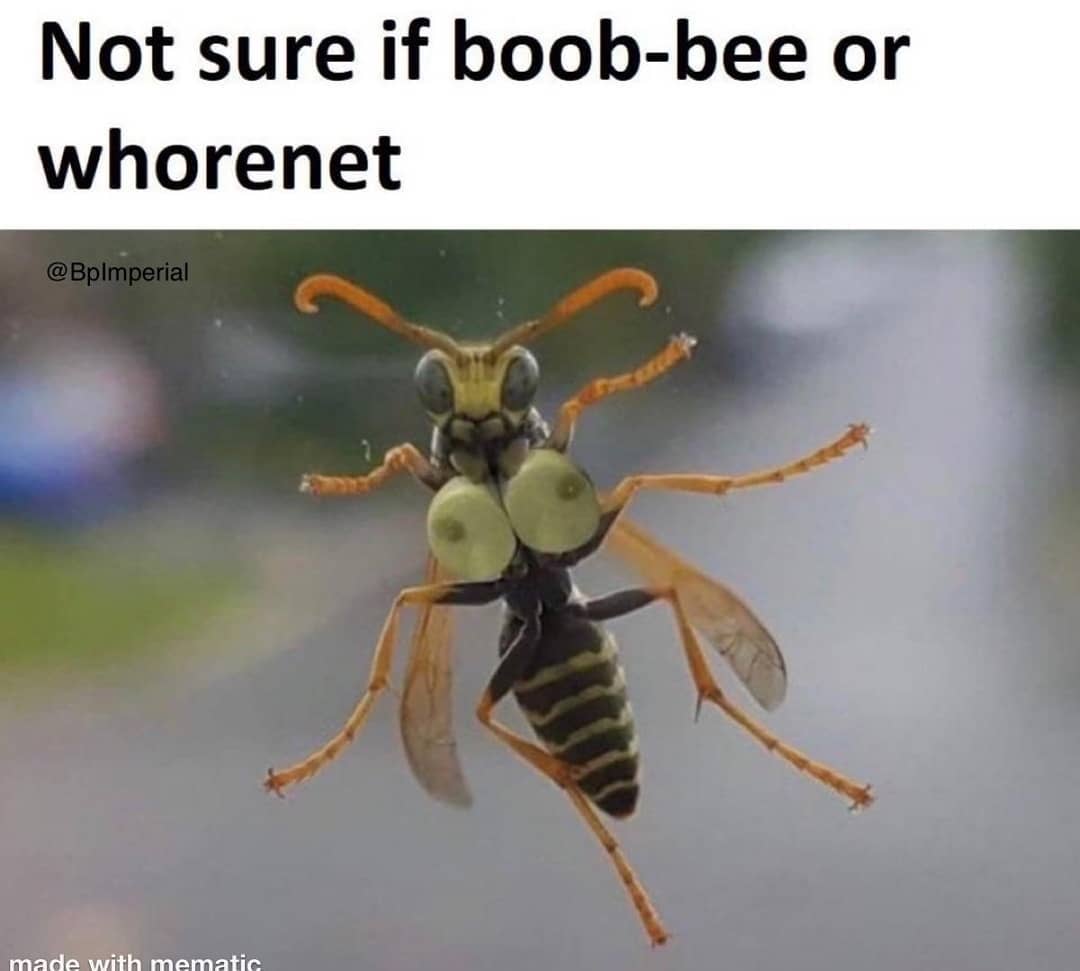 30 Memes for Those Who Appreciate Unapologetic Humor 27 Not sure