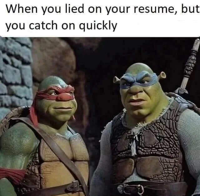 35 "When You Lie On Your Resume But Still Get The Job" Memes 37 Quickly catch up