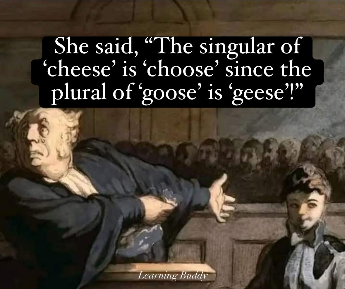 40 Hilarious Memes That Prove English Is The Funniest Language 41 Singular of cheese